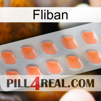 Fliban 26